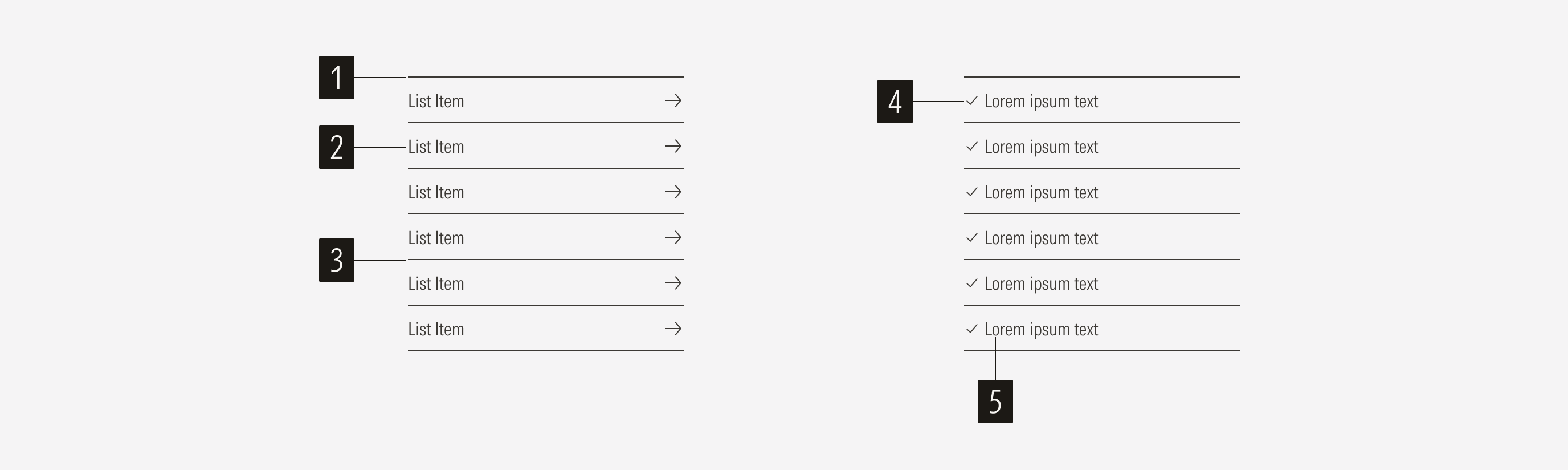 List group anatomy