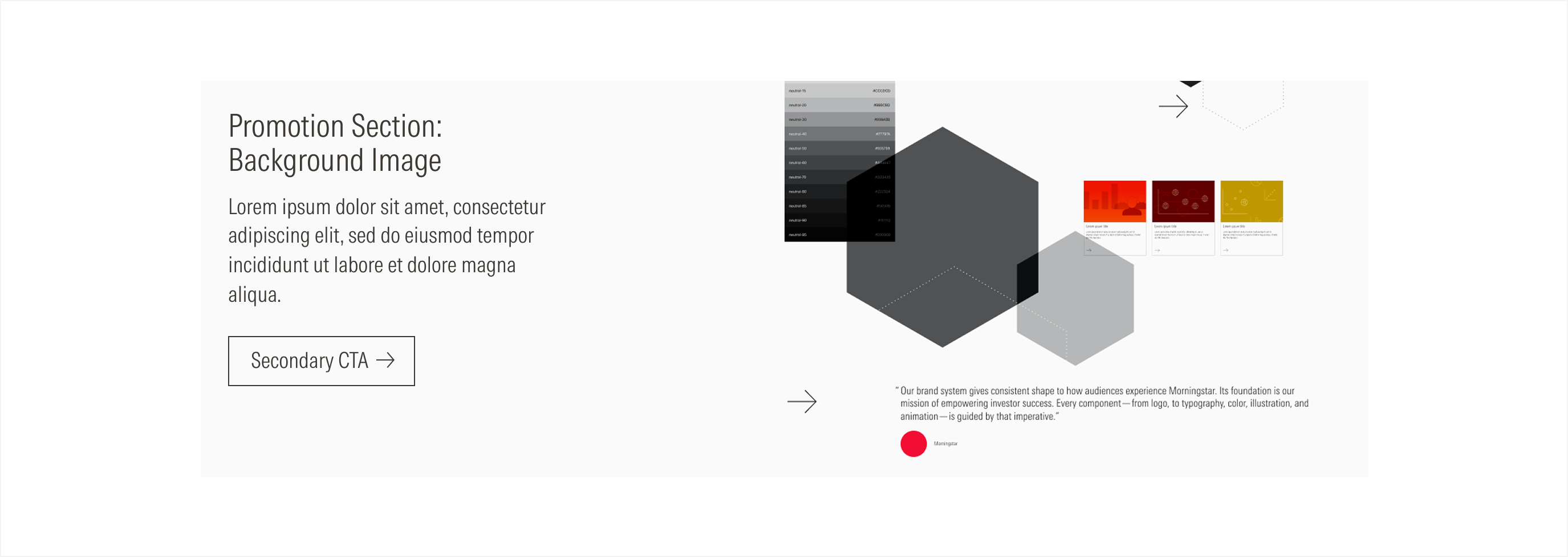 Shows the light theme for the background image promotion section
