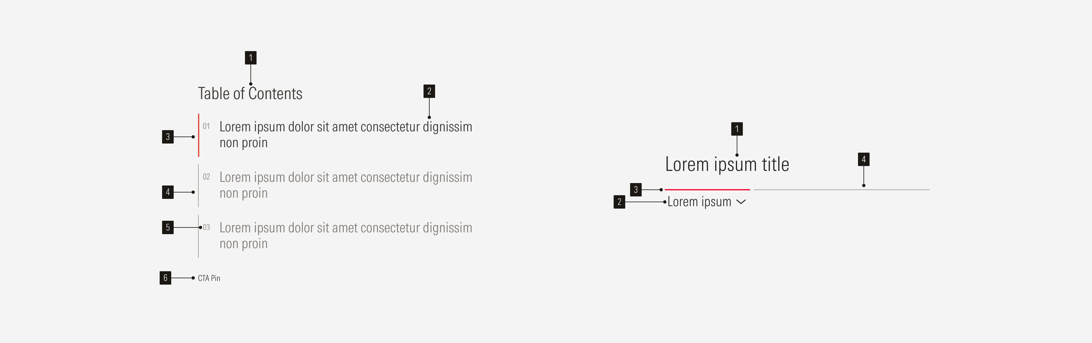 Tabs Anatomy