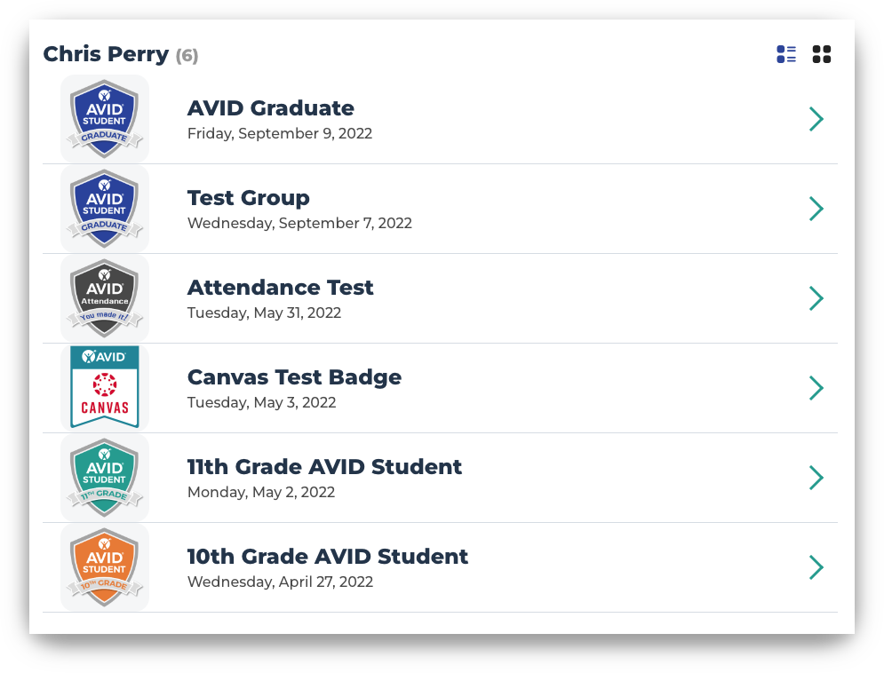 Screenshot of a person's achievements and test badges listed on a profile. Includes AVID Graduate, Test Group, Attendance Test, Canvas Test Badge, 11th Grade AVID Student, and 10th Grade AVID Student.