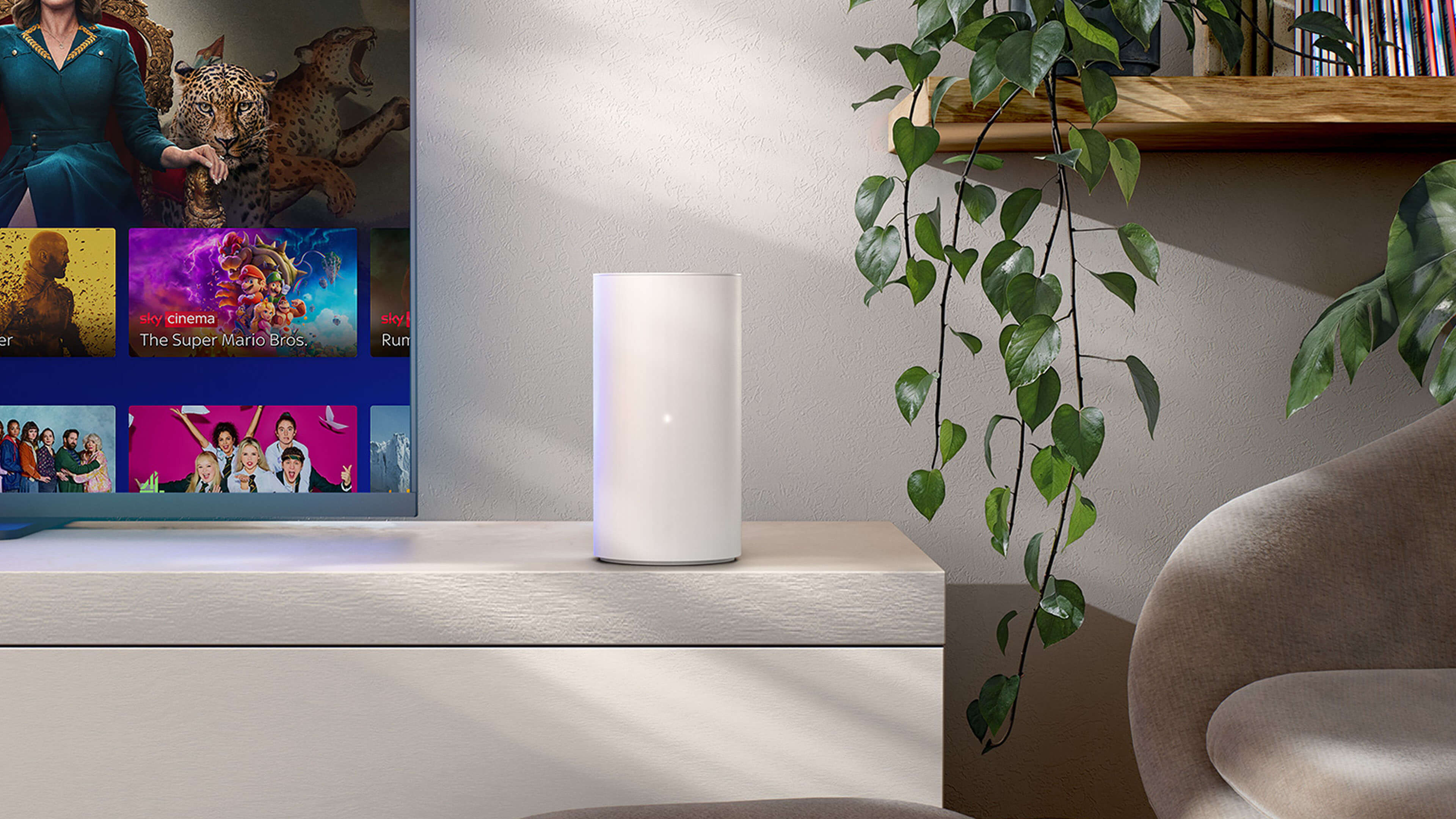 Next-level connectivity | Products | Sky Group