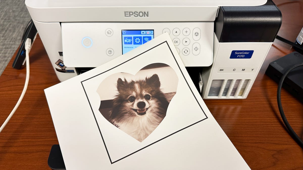 Image of black and white Pomeranian in a heart shape with black boarders printed from an Epson Sublimation printer.