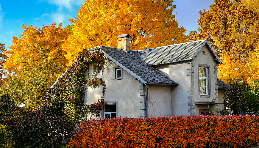 House with a fall colored tree behind it