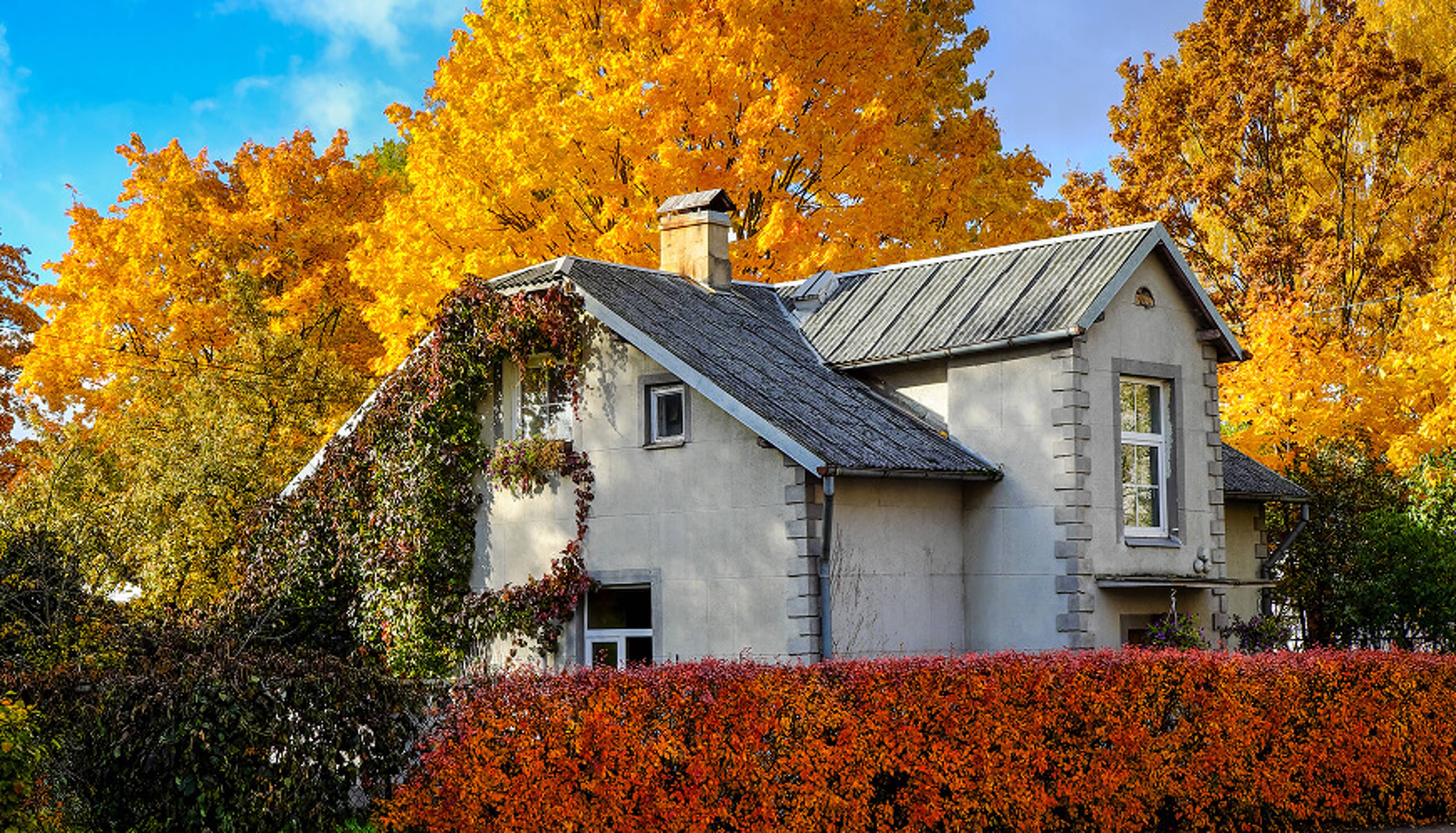 House with a fall colored tree behind it