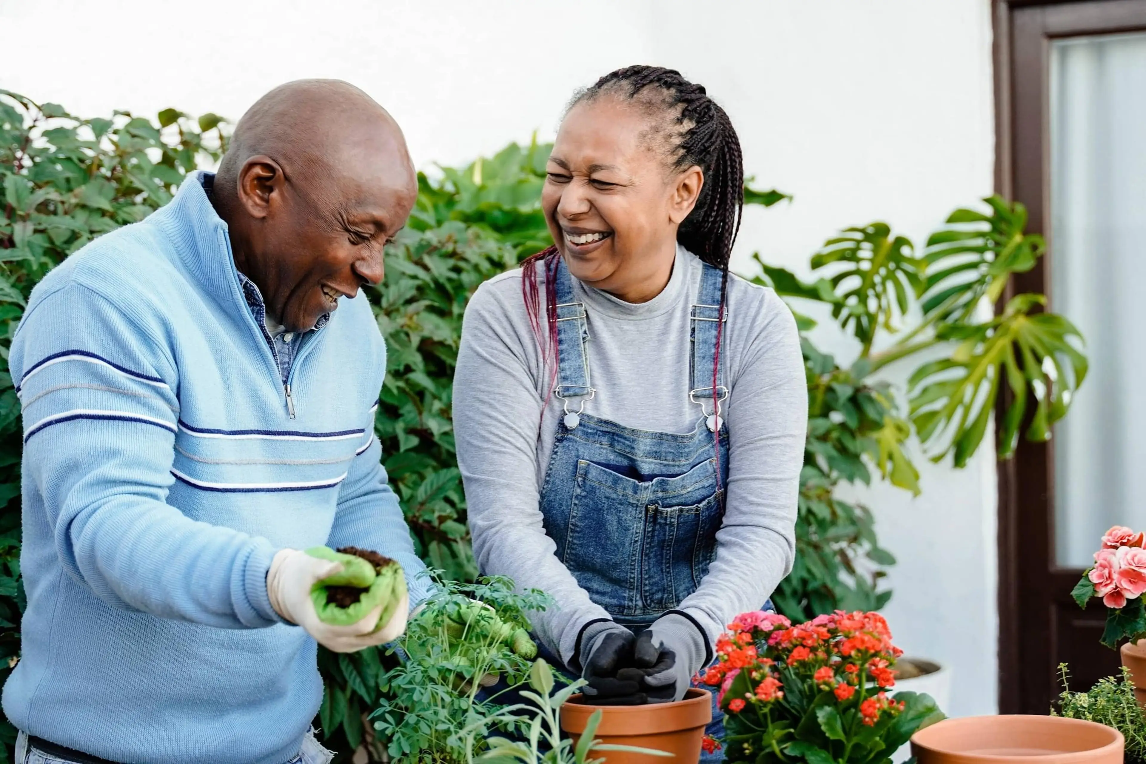 Types of Reverse Mortgages