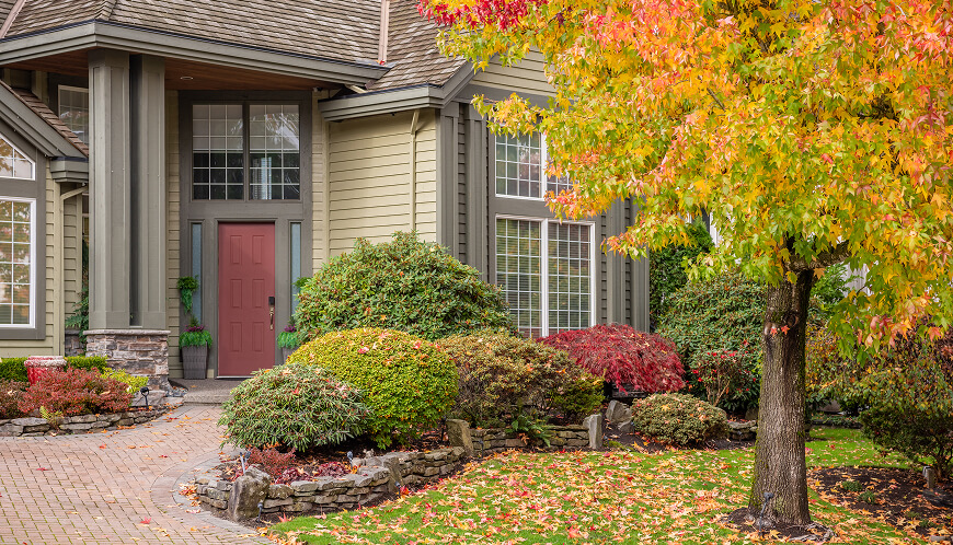 Nice home with trees, bushes and leaves.