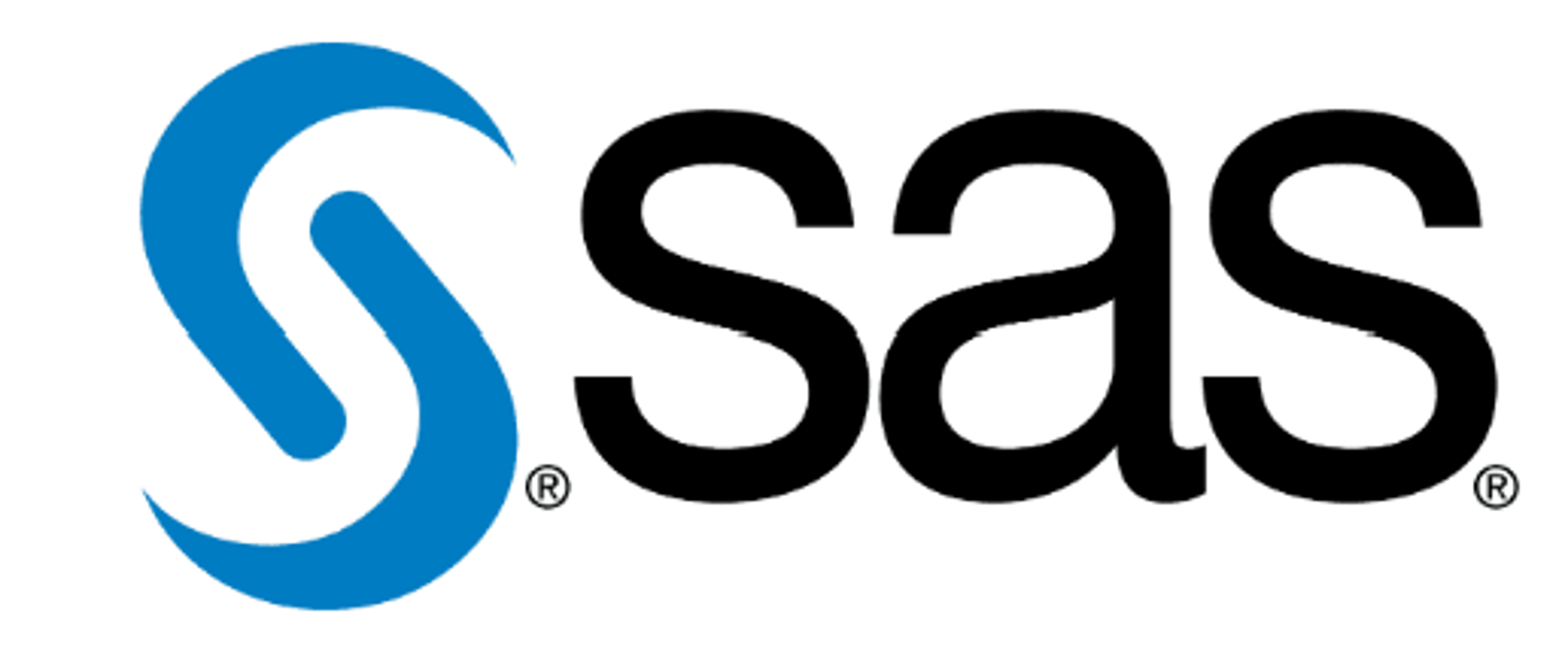 SAS Art Direction Image