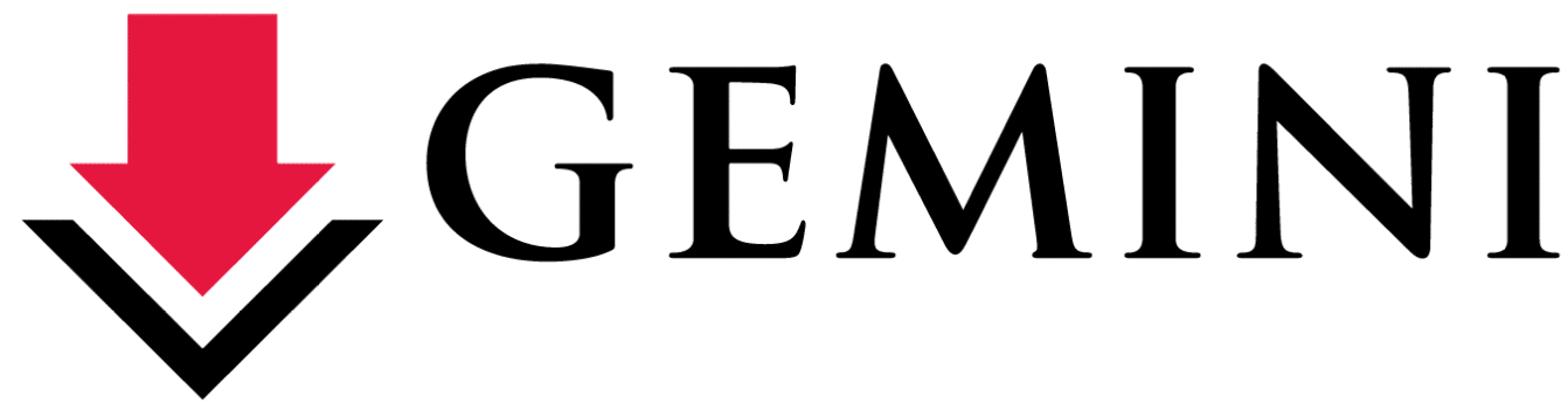 Gemini Inc. Art Direction Image