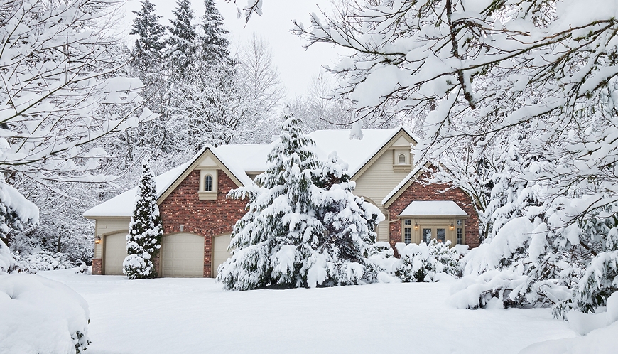 House with a big tree in the snow.