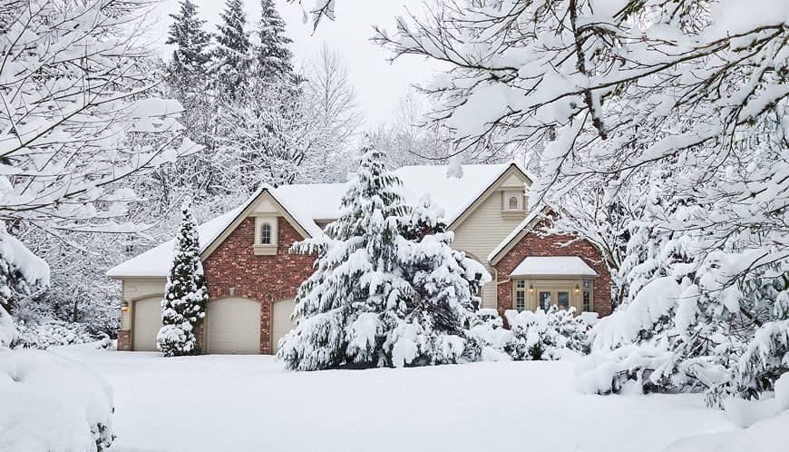 House with a big tree in the snow.