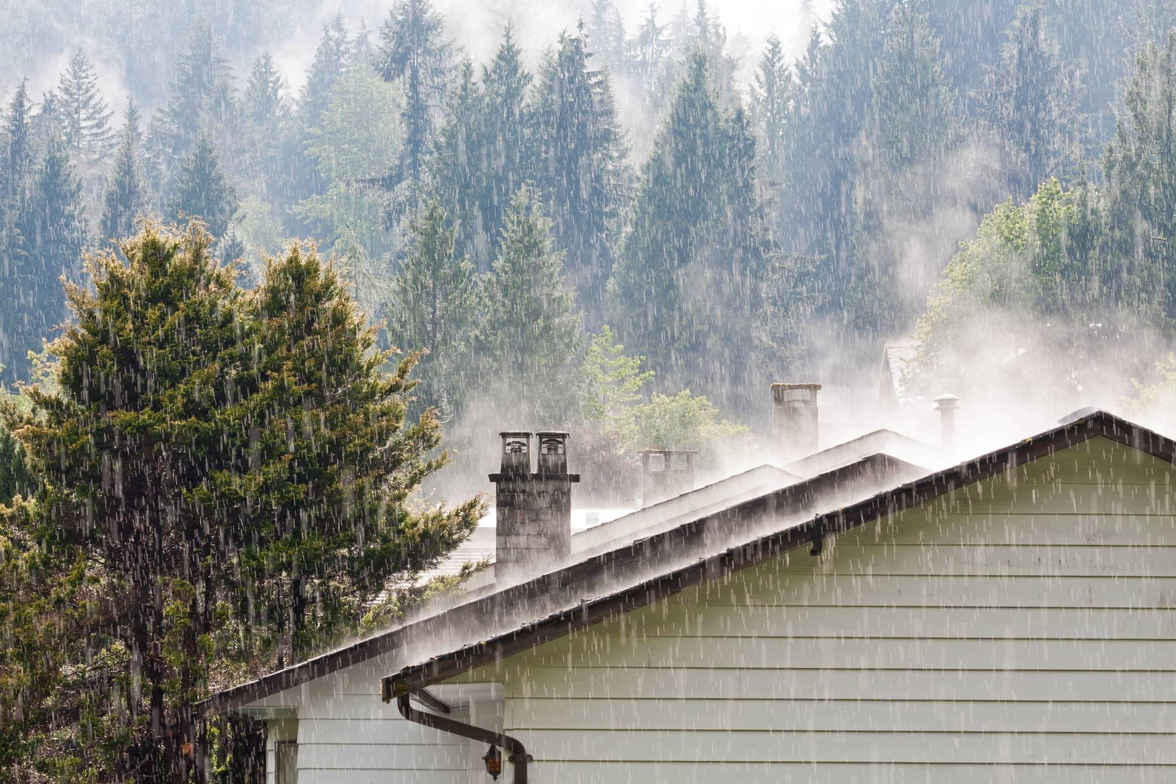 Flood insurance guide: Cost, coverage & more