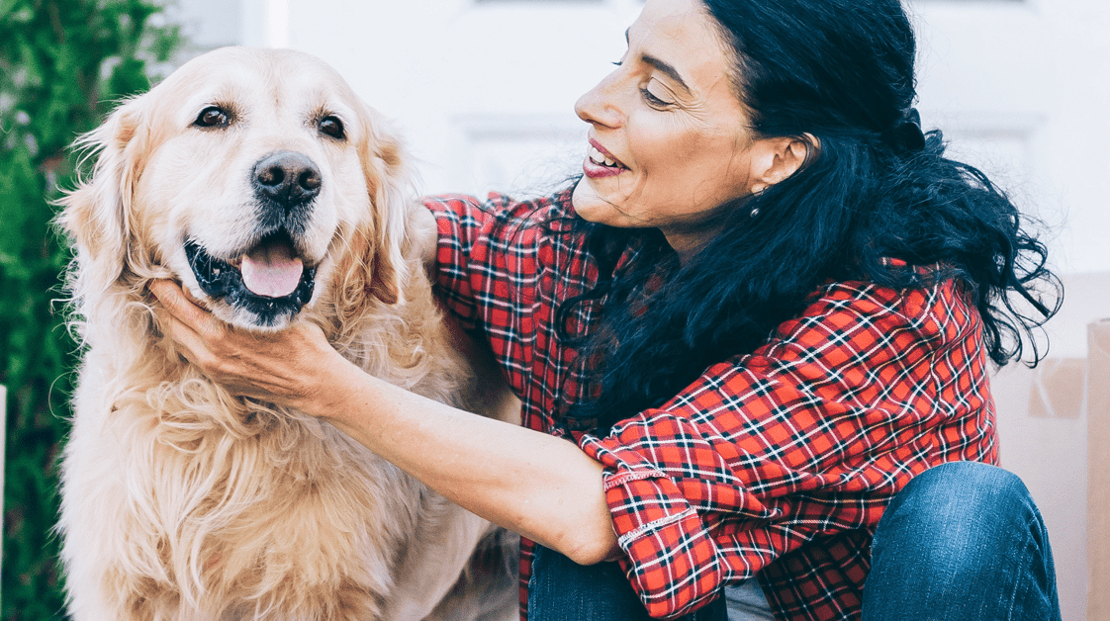 A person petting a dog.