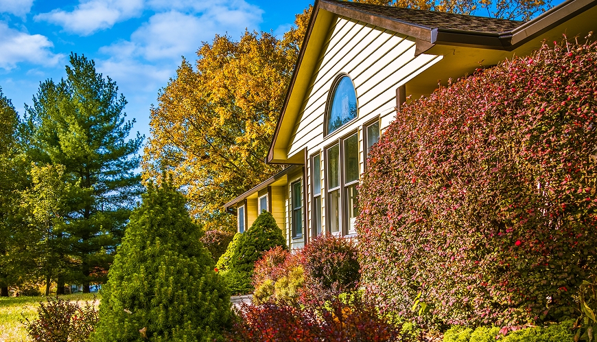House around pretty trees and bushes.