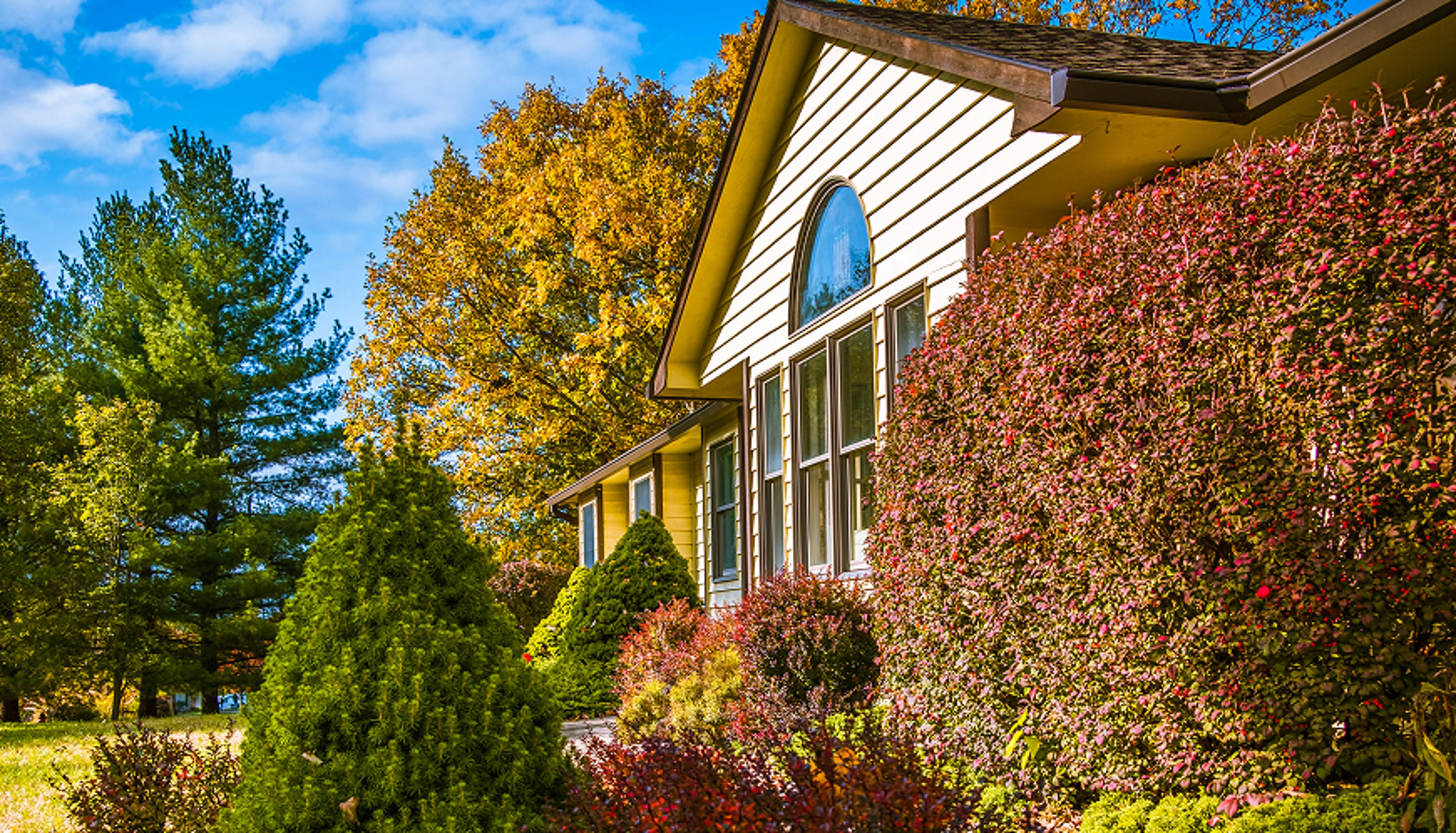 House around pretty trees and bushes.