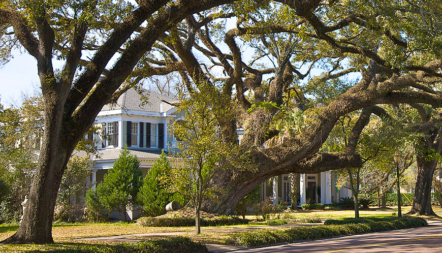 House with big trees in the front yard.