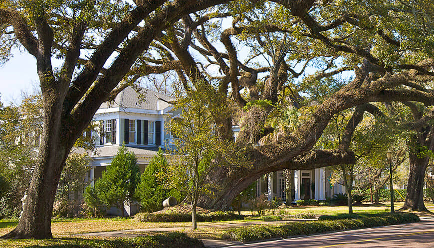 House with big trees in the front yard.