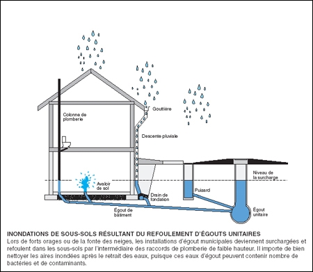 Visuel-refoulement-egouts.jpg