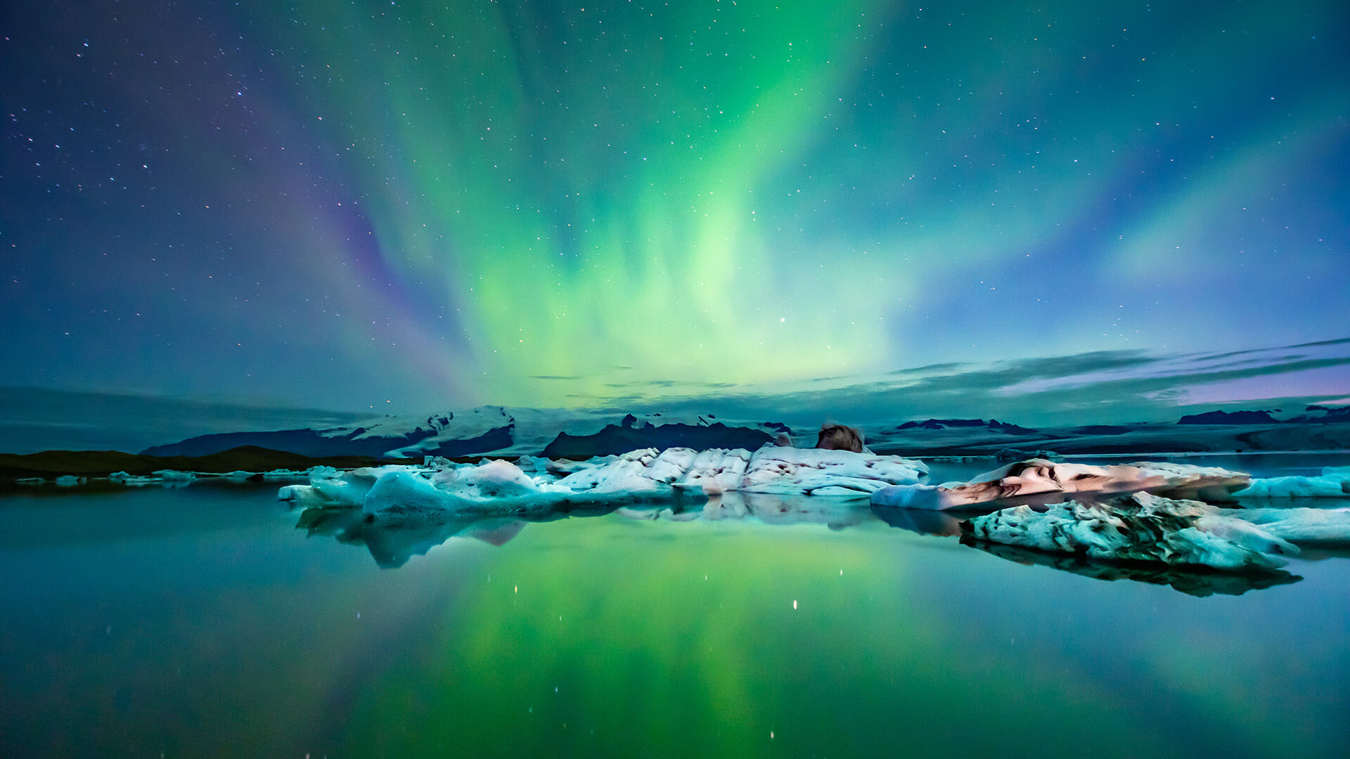 Boreal Wonderland