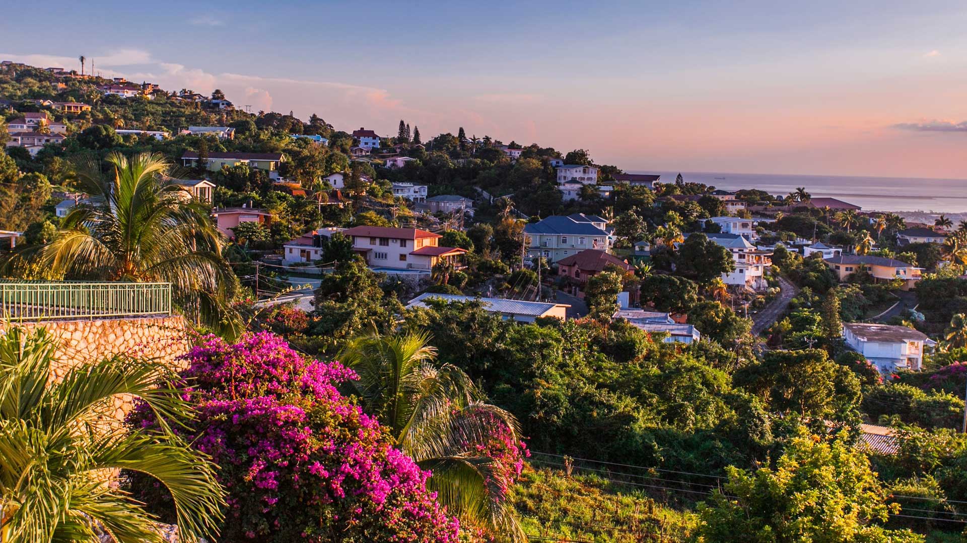 Panoramic view of Kingston, Jamaica, at sunset, with houses nestled among lush greenery and the Caribbean Sea in the distance.