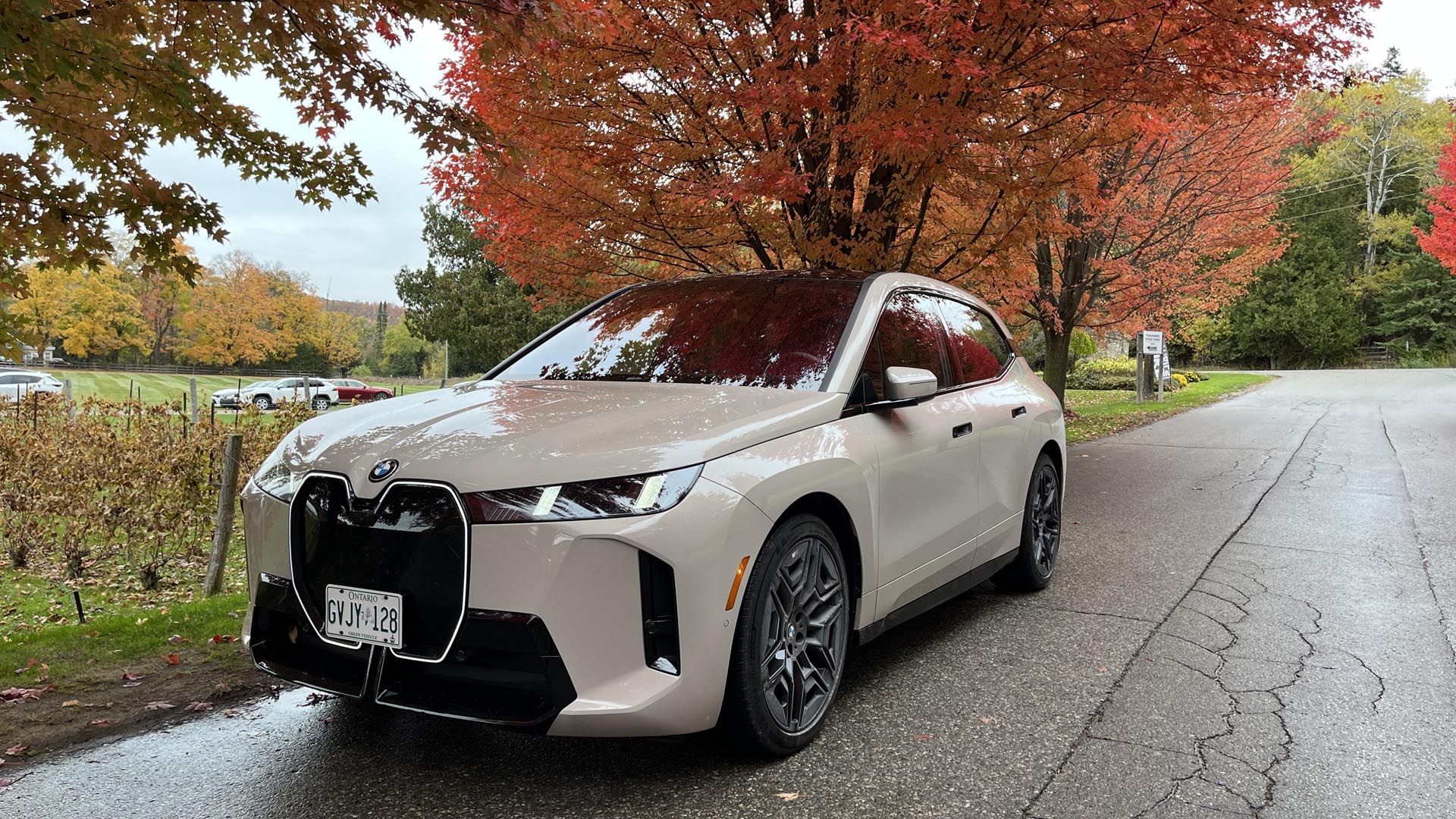 2025 TestFest_02.jpg