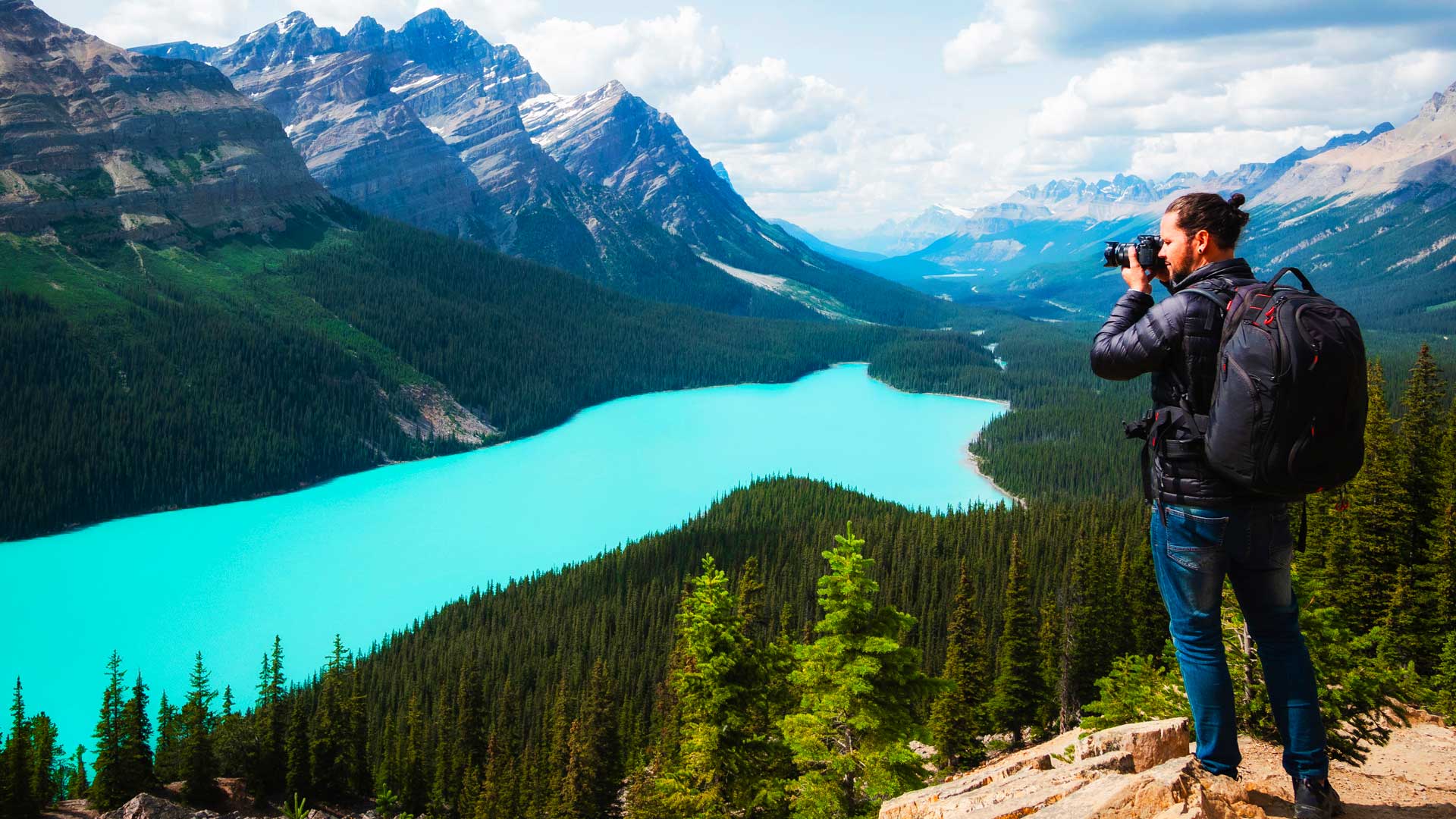 Peyto Lake in Banff, Alberta, with turquoise waters surrounded by boreal forest and the Canadian Rockies under a blue sky.