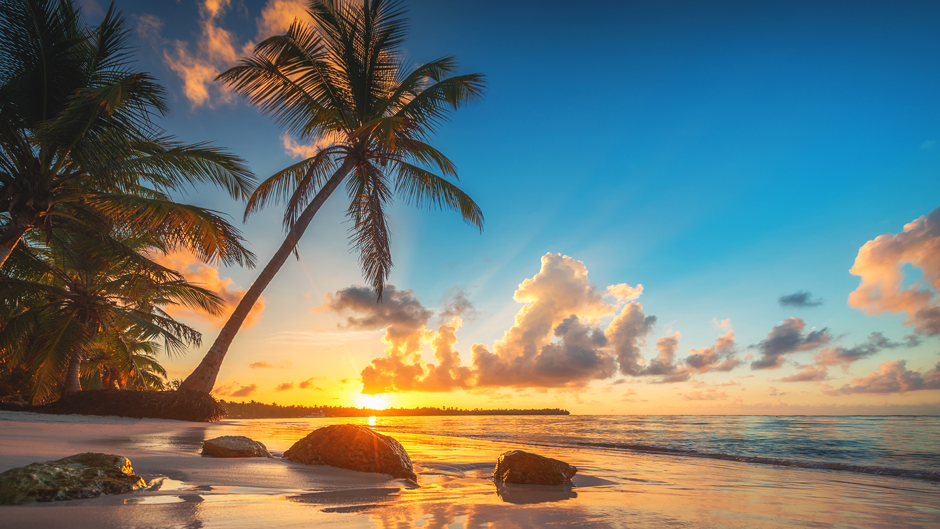 Plage de sable blanc à Punta Cana, en République dominicaine, bordée par la mer des Caraïbes et de nombreux palmiers. 