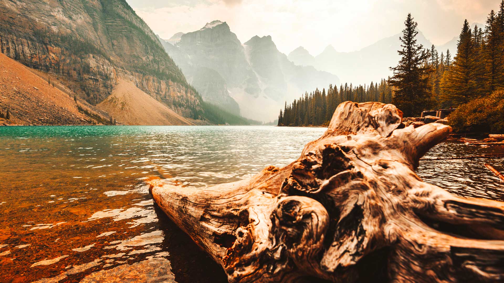 Moraine Lake in Banff with bright-blue water reflecting the rugged peaks of the Rockies, surrounded by evergreen forest.