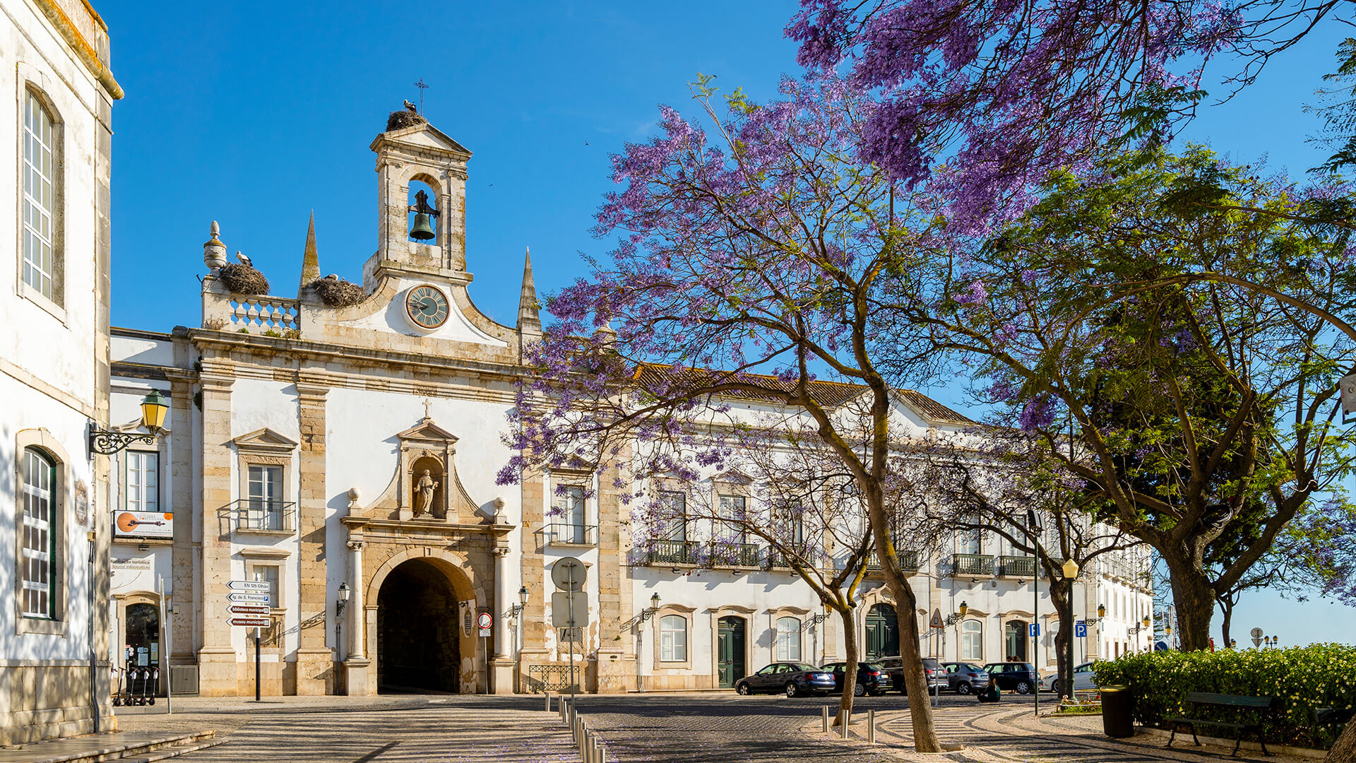 Découvertes en Algarve