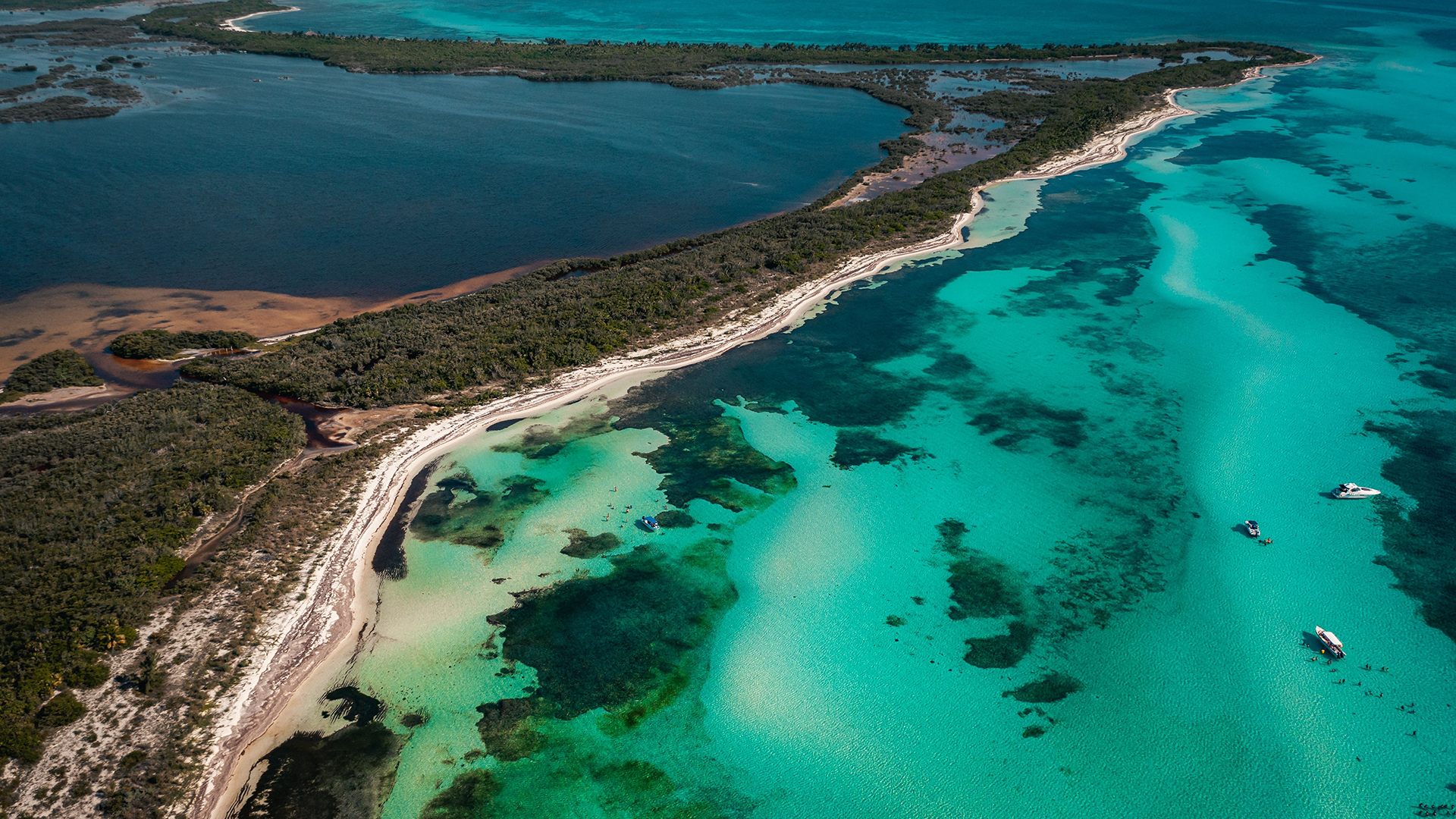 Aerial view of El Cielo Beach in Cozumel with lush vegetation bordered by white sand and surrounded by emerald-green waters.