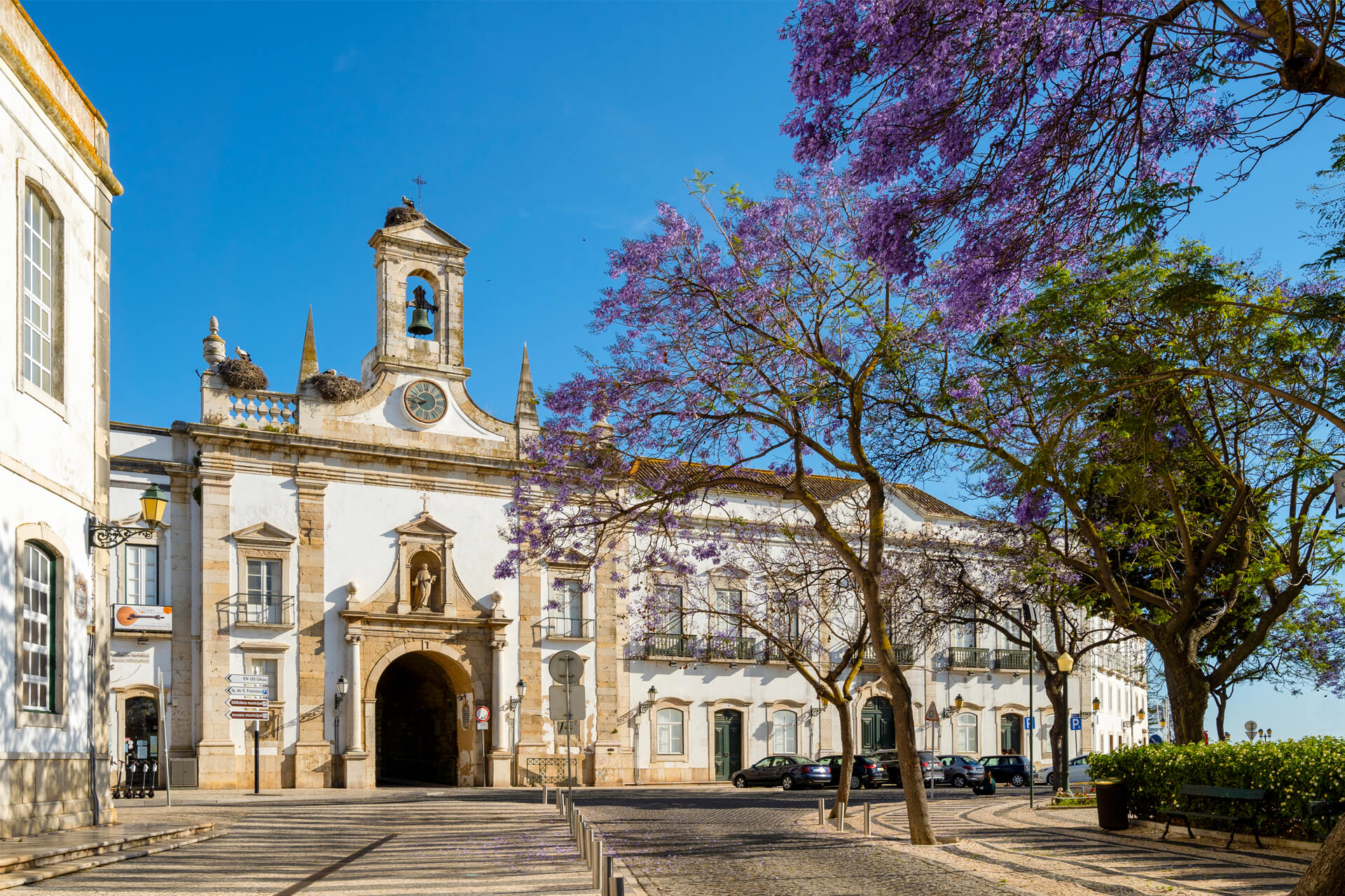 Arco da Vila in Faro, Portugal, with blooming trees and a clear blue sky framing the historic whitewashed architecture.