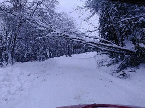 Route-impraticable.jpg