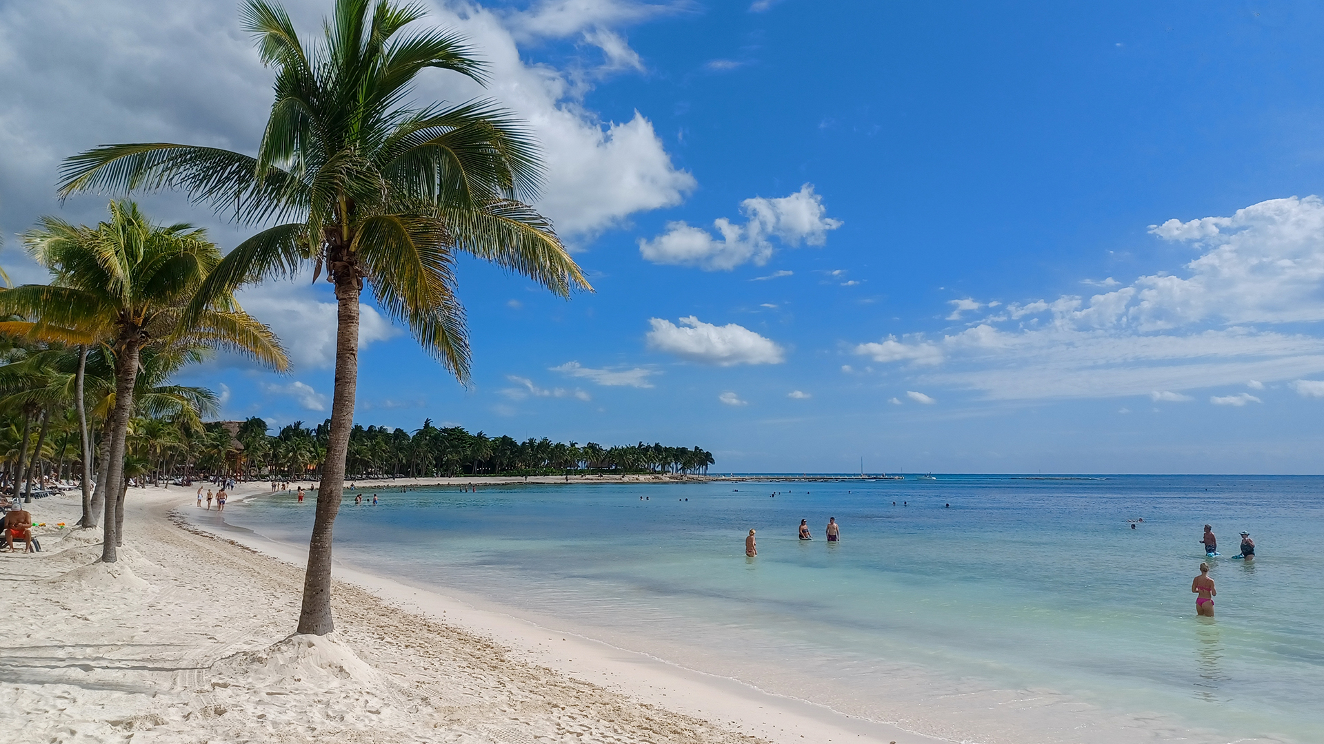 White-sand beach in Playa del Carmen lined with palm trees and turquoise waters where visitors swim.