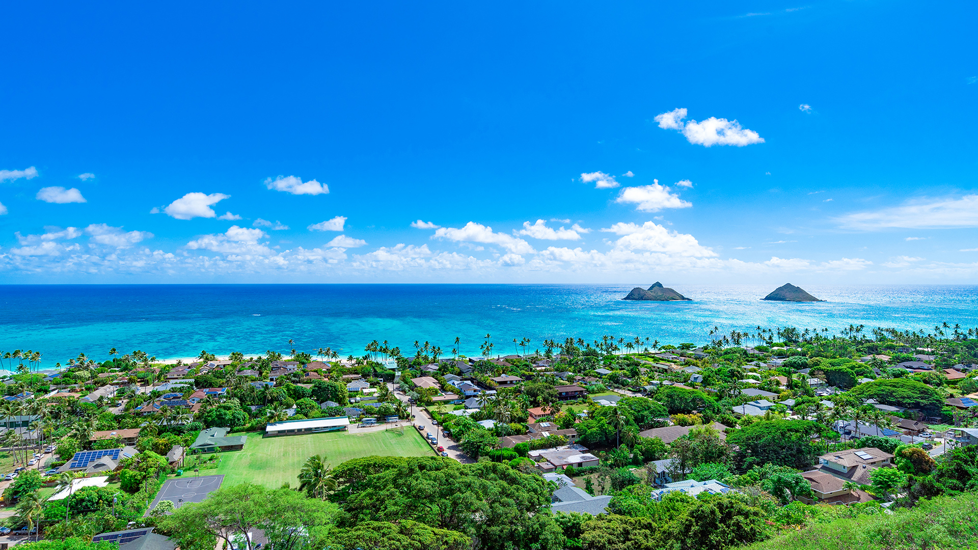 Vue panoramique de Kailua, à Hawaï, avec ses quartiers résidentiels en pleine nature, le long d’une mer calme et turquoise.