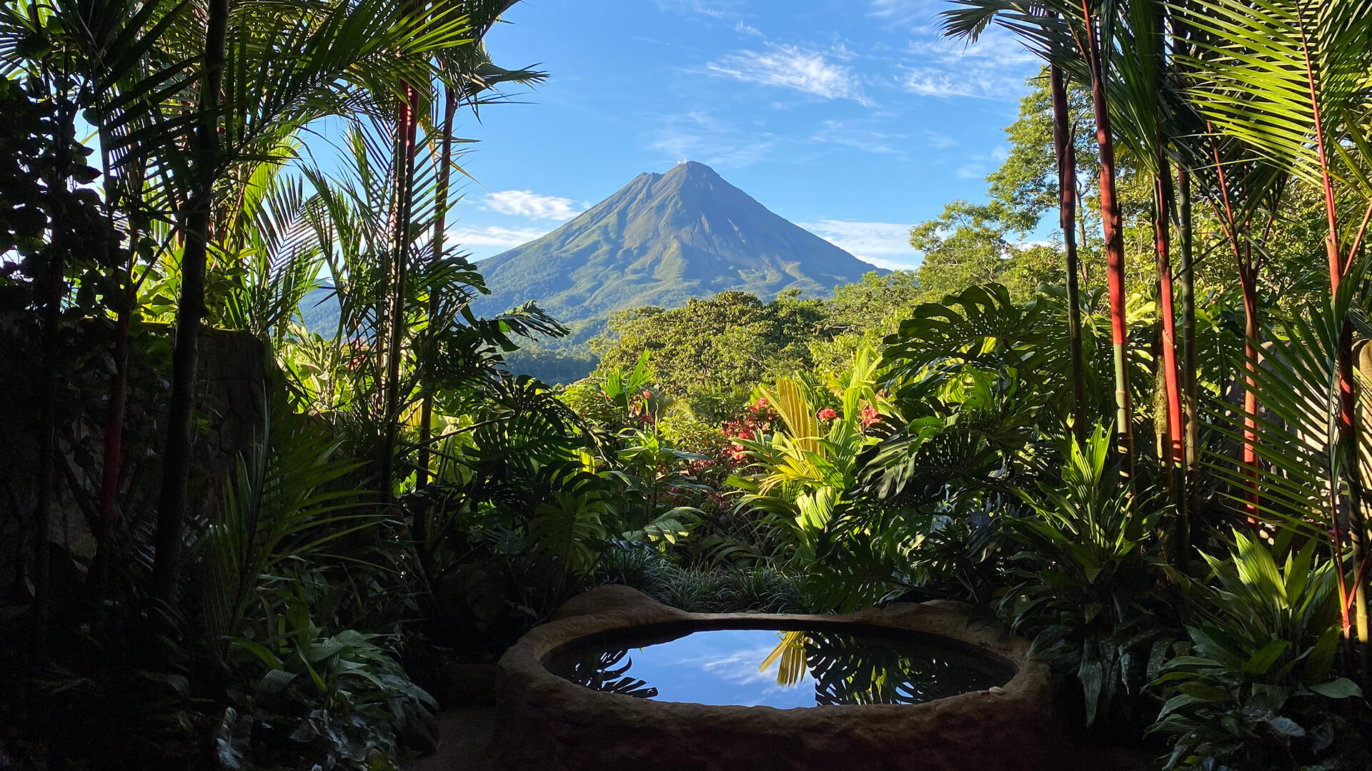 Pura vida