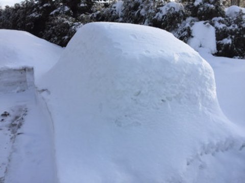 csm_2019-26_jan-igloo_4a665b9dfa.jpg