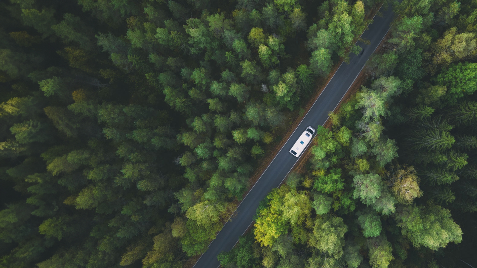 A recreational vehicle on a tree-lined road, seen from the air.