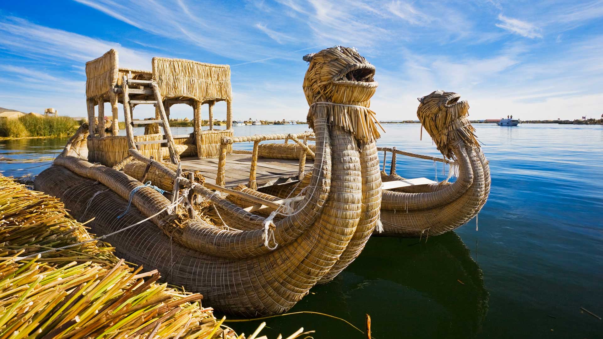 Traditional totora reed boat on Lake Titicaca, Peru, animal-shaped and golden in colour, floating near the shore.