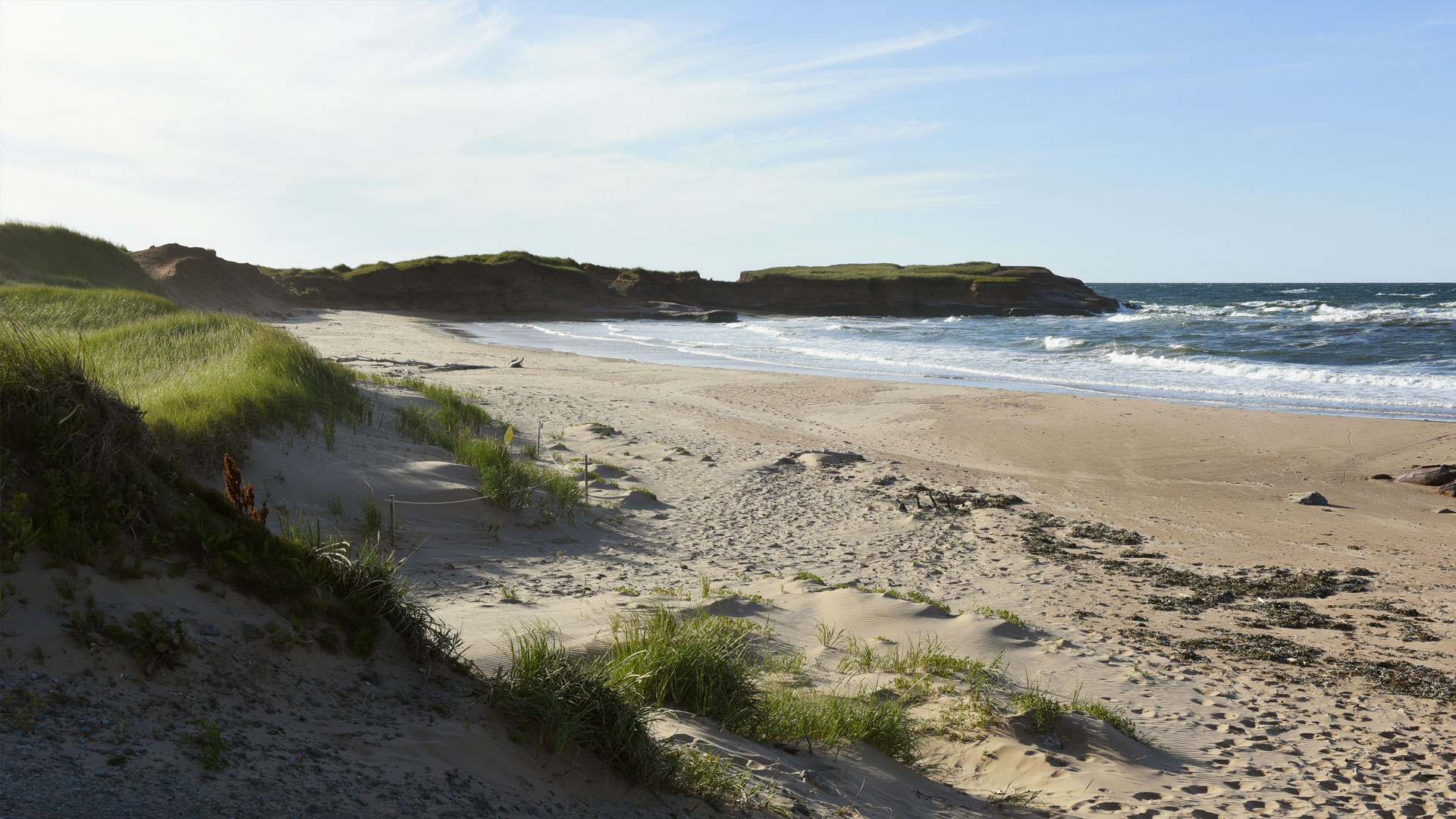 Sandy beach and grassy dunes with coastal scenery in Fatima, Magdalen Islands.