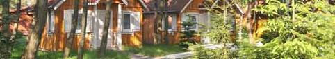 chalet_5323966_560x100.jpg