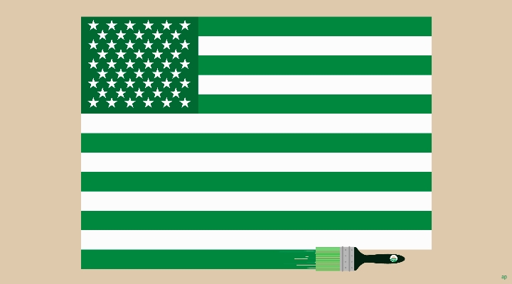 US Flag in Green