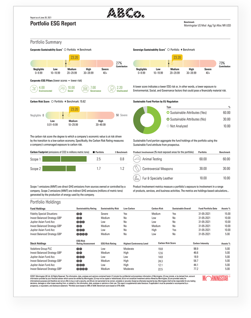 Cover of a Portfolio Analysis Report