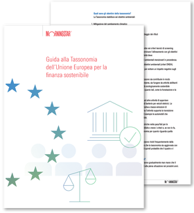 Guida alla Tassonomia dell’Unione Europea per la finanza sostenibile