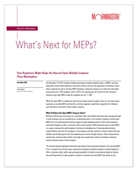 What's Next for MEPs?
