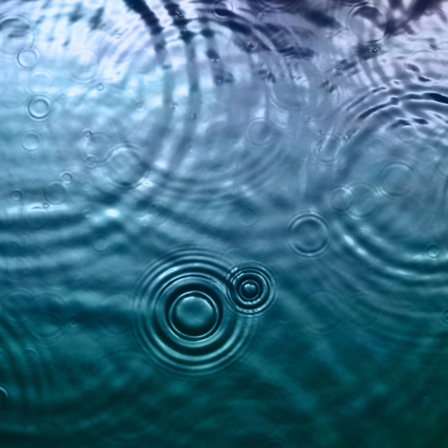 ESG Ratings to Limit Water Risk | Investable World | Morningstar