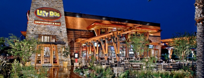 Lazy Dog Restaurant