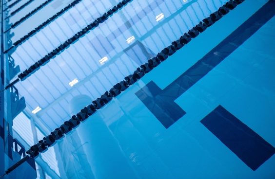 pool-564x368.png