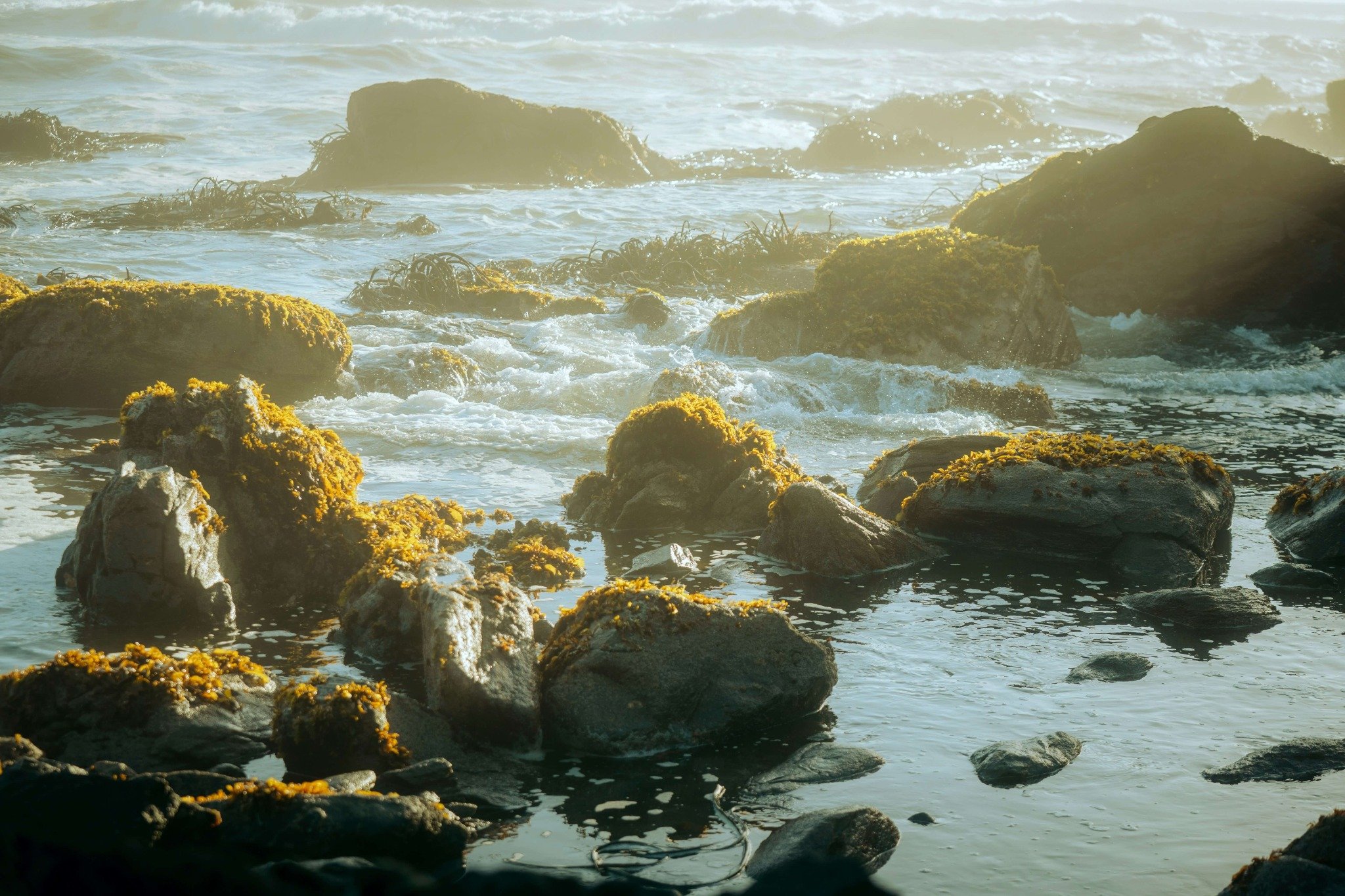 edu-wEWegrxP9ec-unsplash_compressed.jpg