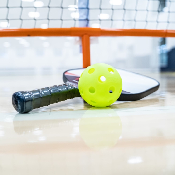 pickleball368x386.png