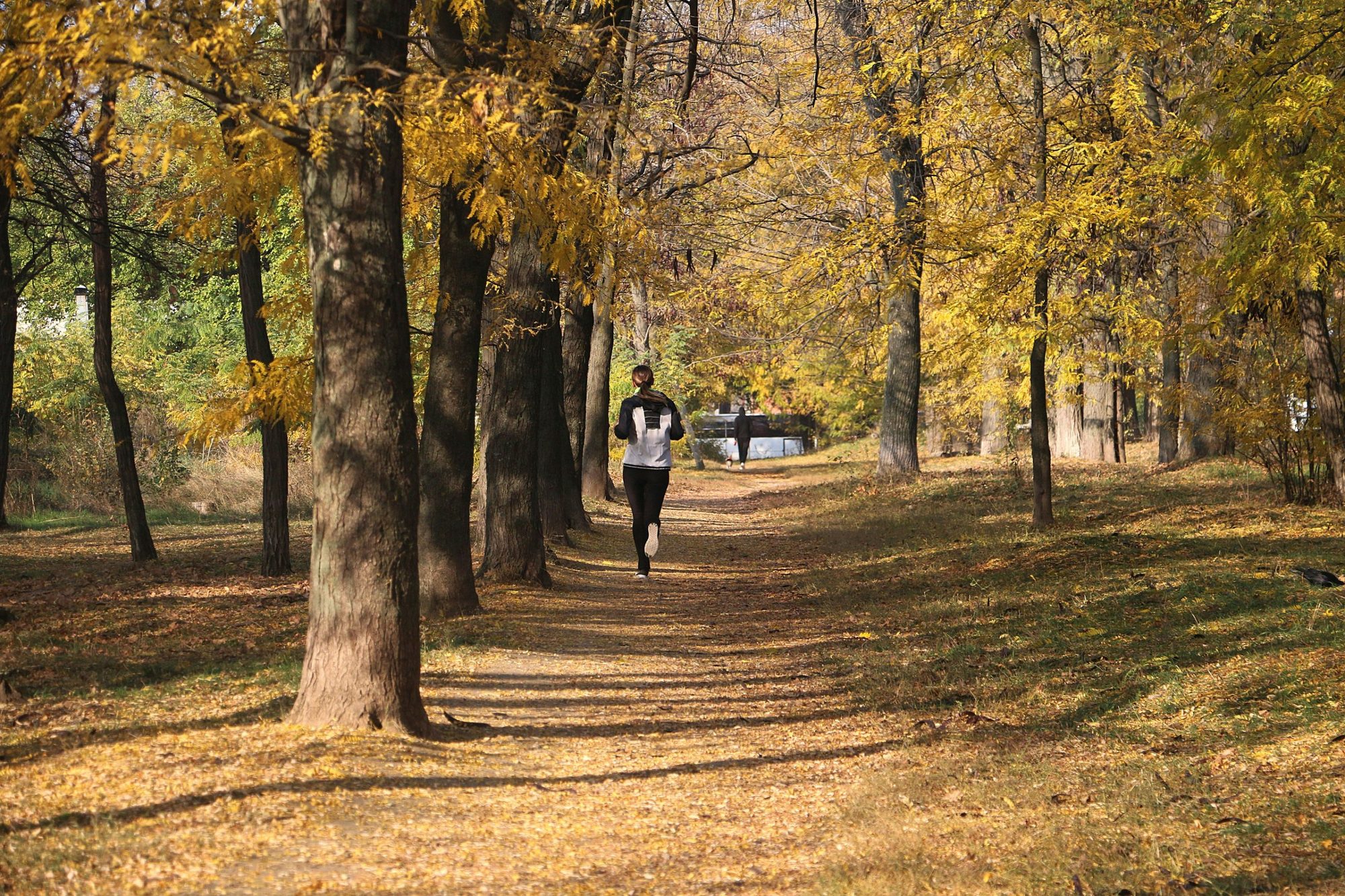 Autumn_Runner_web.jpg