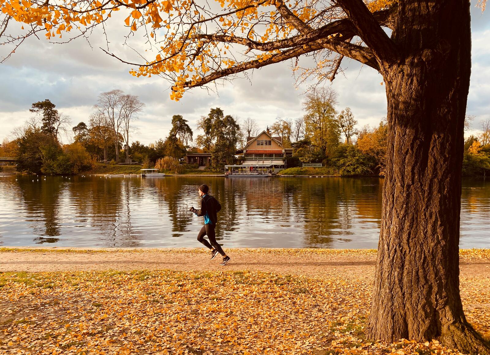 fall-running-header.jpg